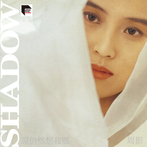 周影 - 应不应该